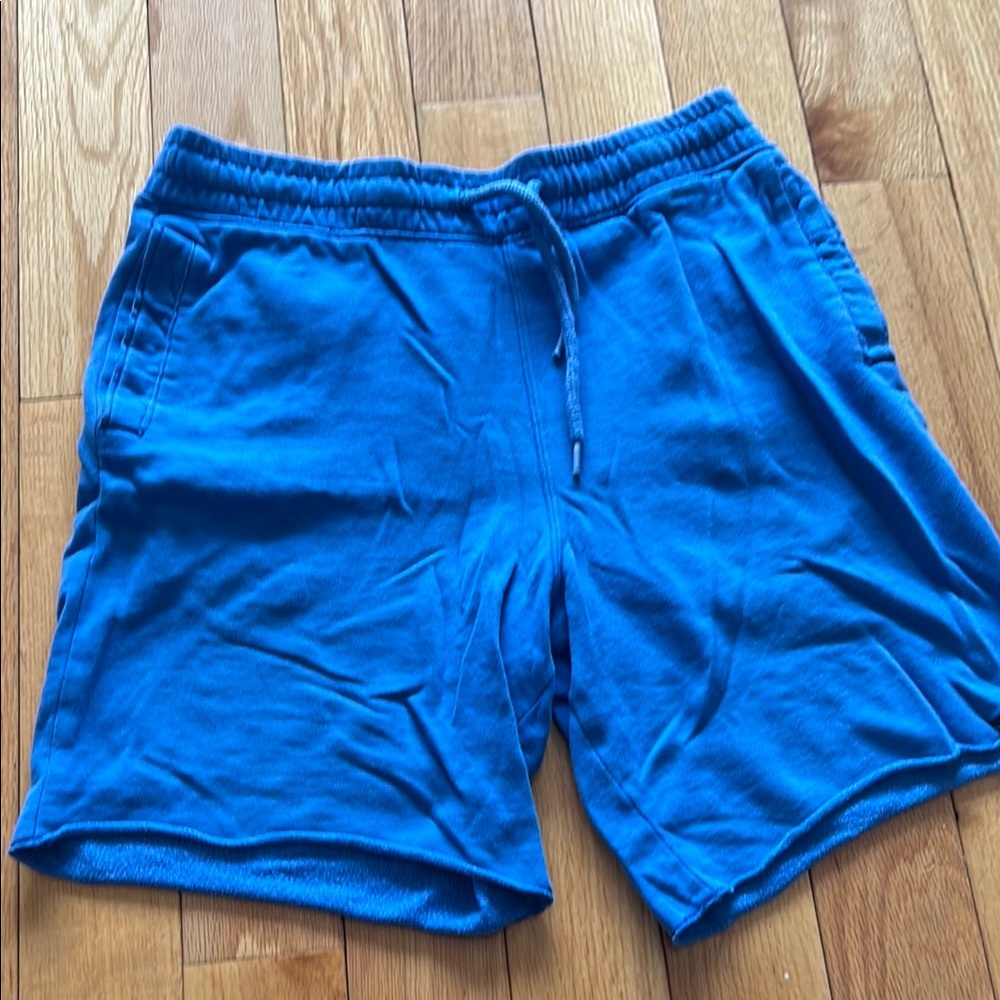 Hollister Men's Blue Casual Shorts